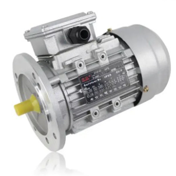 Electric motor Model # YS6314  Part #8840444
